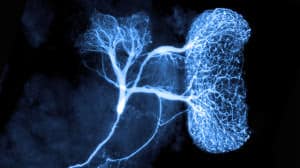 Unidad de neurocirugia-Introduccion a la neurocirugia-neurociencias-neuronavegador