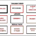 docencia-pregraduados-facultad de medicina uam- esquema-hooper-1