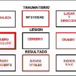 docencia-pregraduados-facultad de medicina uam- esquema-hooper-4