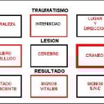 docencia-pregraduados-facultad de medicina uam- esquema-hooper-5