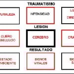 docencia-pregraduados-facultad de medicina uam- esquema-hooper-6