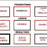 docencia-pregraduados-facultad de medicina uam- esquema-hooper-7