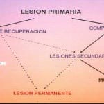 docencia-pregraduados-facultad de medicina uam- esquema-relacion-lesion-primaria-secundaria