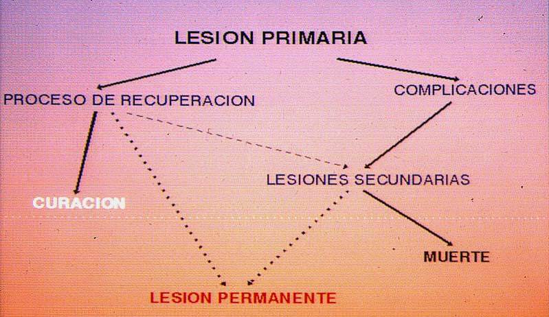Esquema de relación entre lesión primaria y secundaria