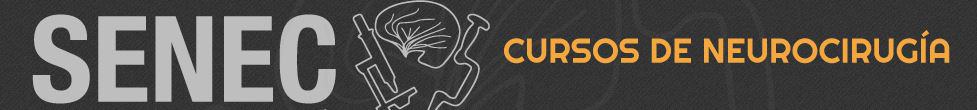 senec-cursos de neurocirugia-1