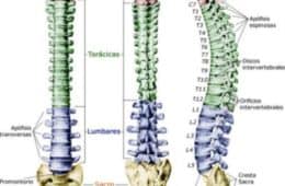 balance-sagital-juan-delgado