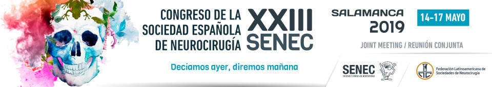 Congreso de la Sociedad Española de Neurocirugía 2019