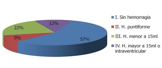Figura 2- Diagrama de sectores con la frecuencia en porcentajes según el tipo de hemorragía