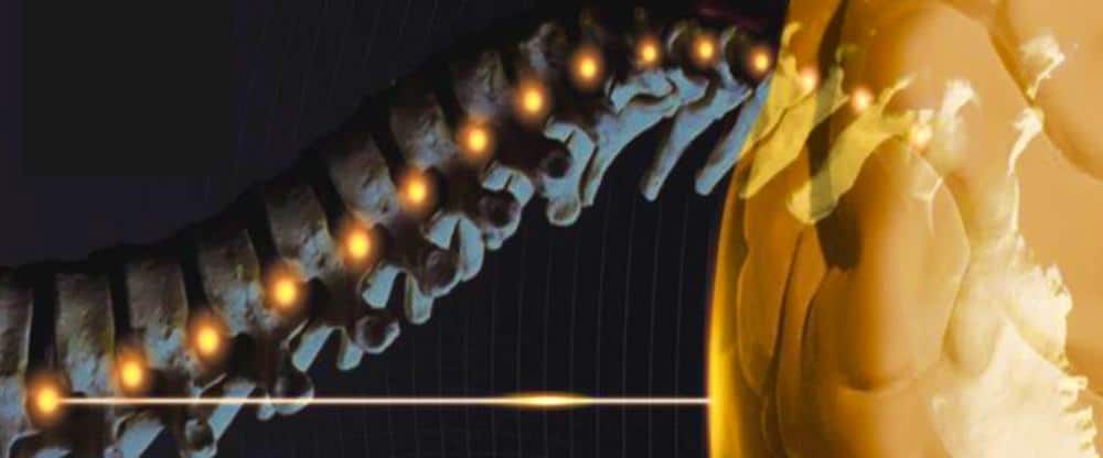 Laboratorio de técnicas avanzadas en neurocirugia. Dr. Garcia de Sola
