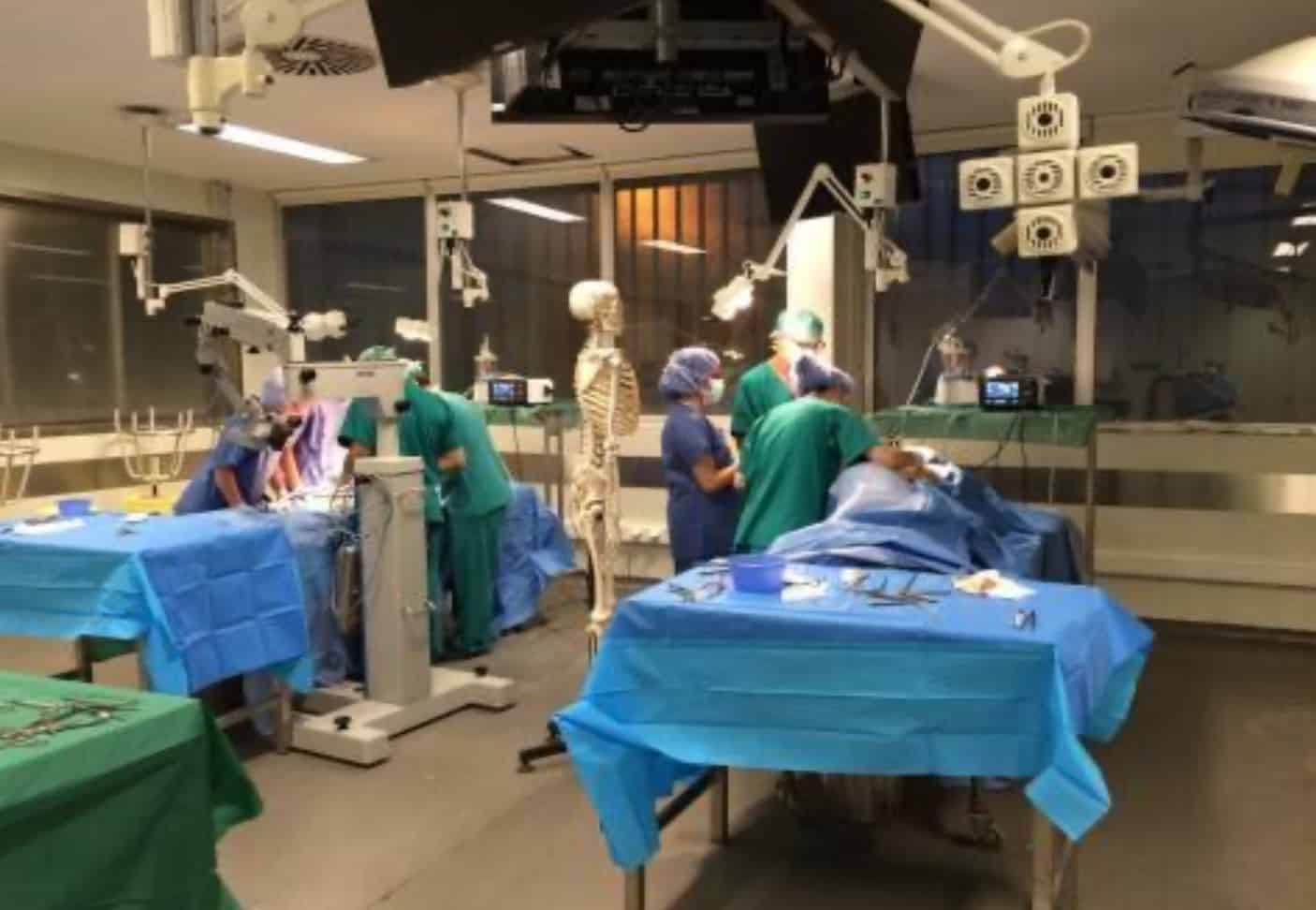 Prácticas de los medicos residentes en el laboratorio de neurocirugoa aplicada