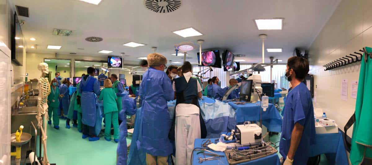 Curso del 13-14 de septiembre 2021.  