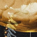 2025 curso para residentes en técnicas neuroquirúrgica