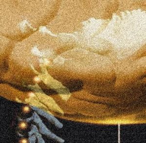 2025 curso para residentes en técnicas neuroquirúrgica