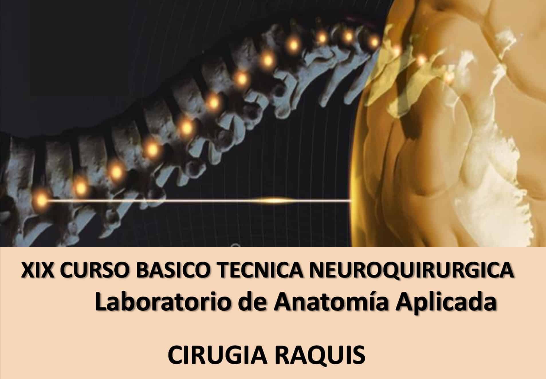 XIX CURSO BASICO TECNICA NEUROQUIRURGICA-Laboratorio de Anatomía Aplicada. Rafael García de Sola y Paloma Pulido
