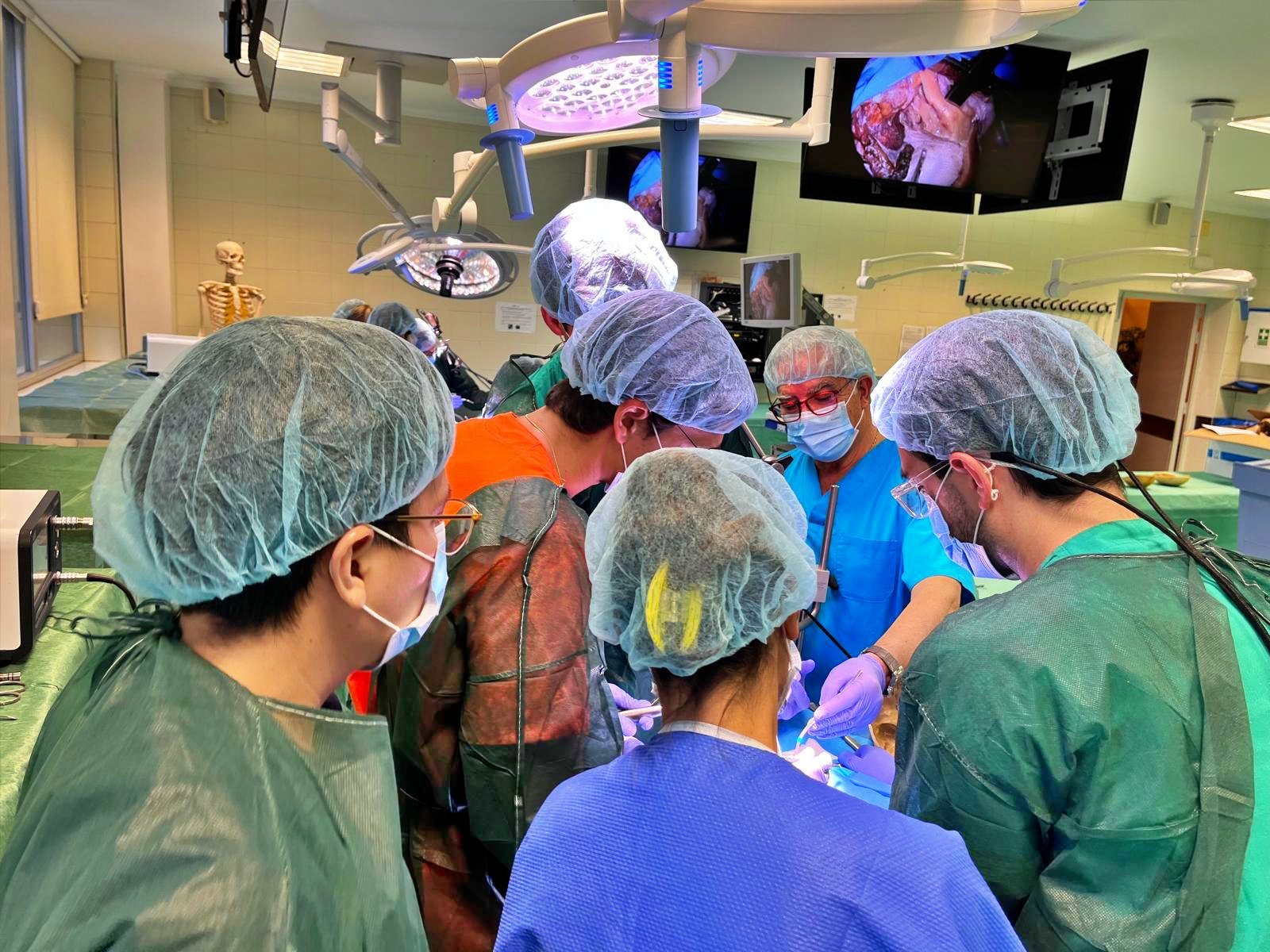 Prácticas neuroquirúrgicas con el Dr García de Sola