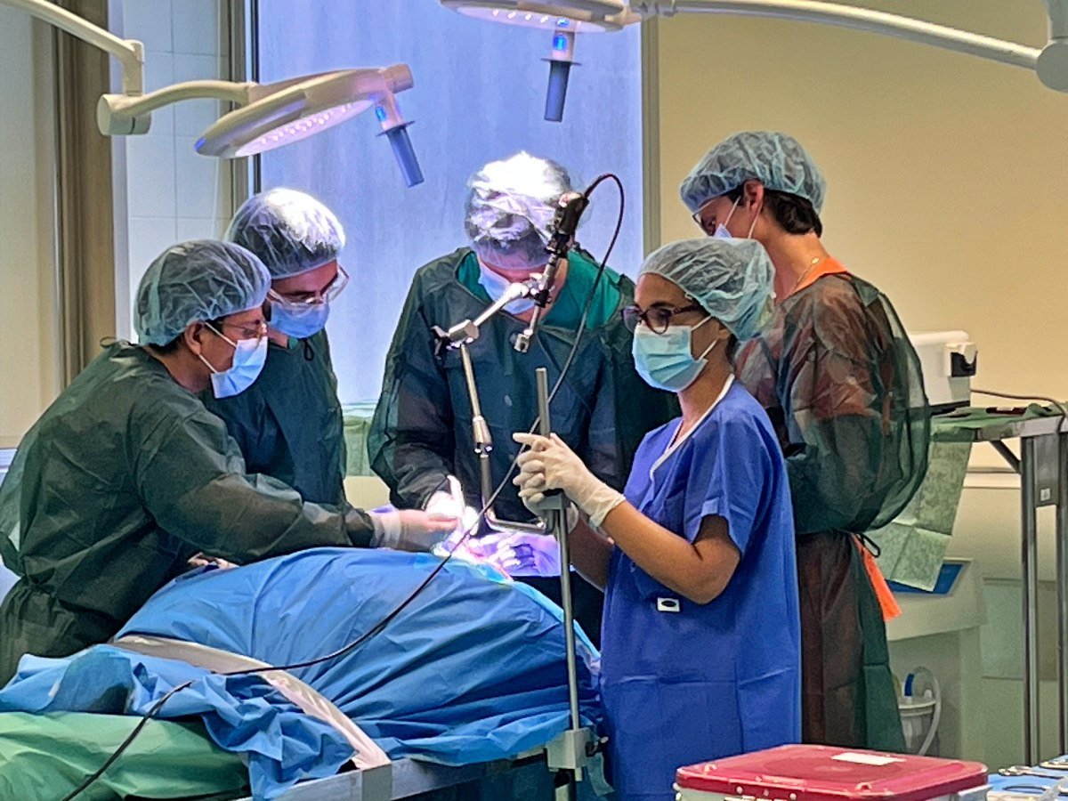 Residentes de Neurocirugía en el XXII Curso de técnicas neuroquirúrgicas