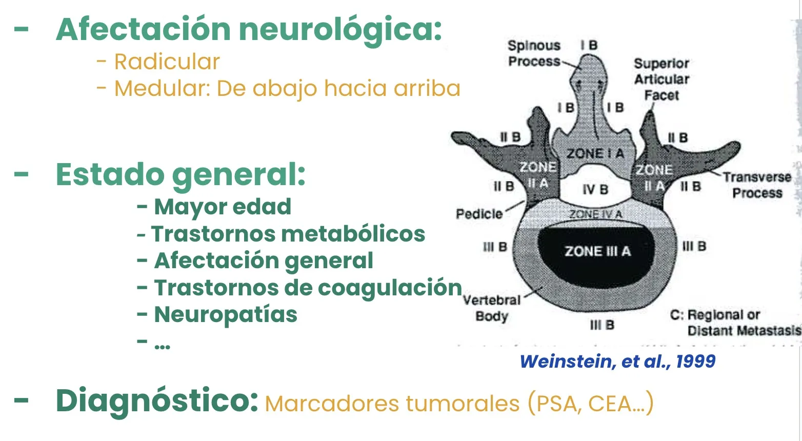 Figura 16.- Tumores malignos primarios - Metástasis cerebrales