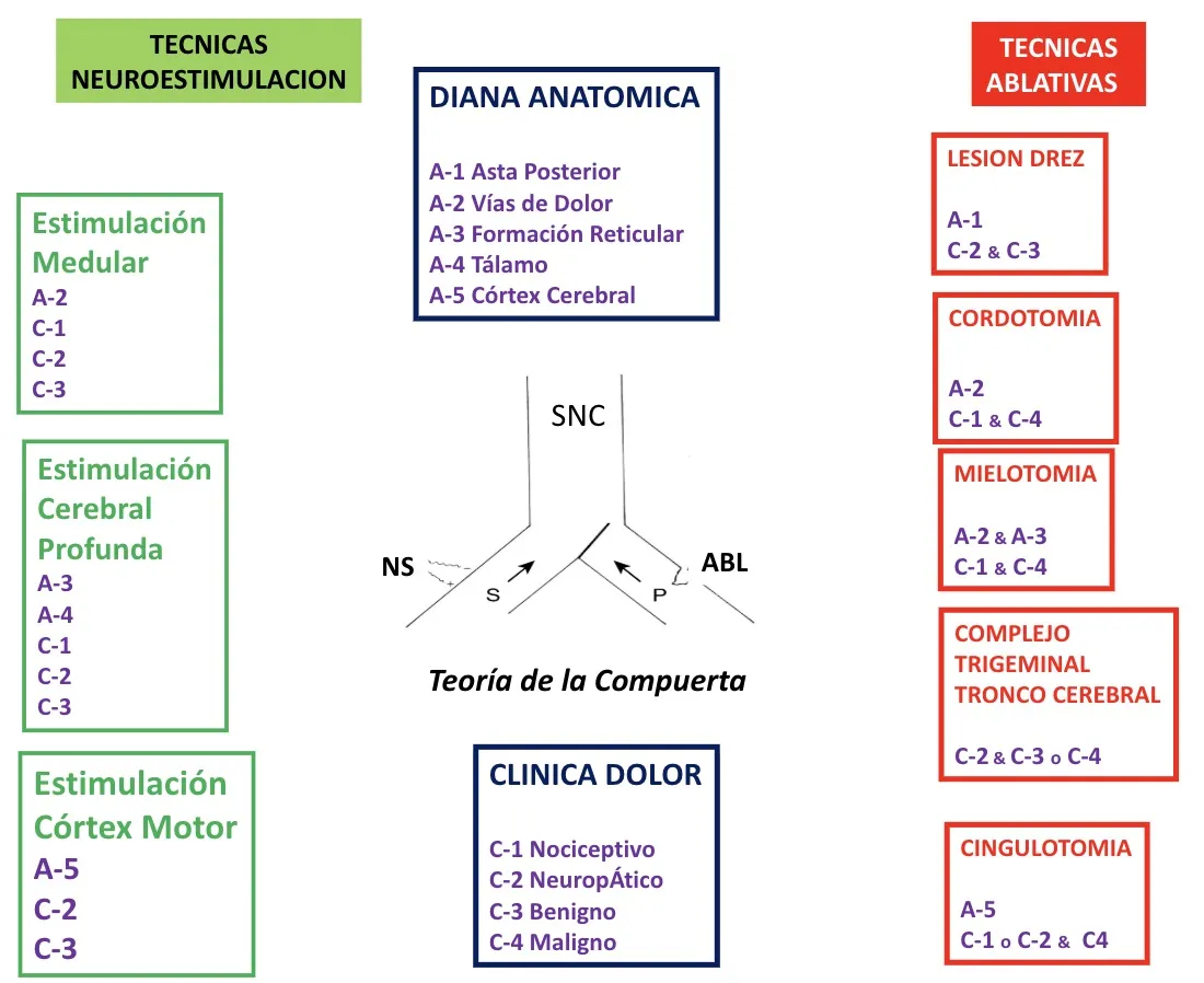 Esquema integrado de tratamiento del dolor que relaciona la diana anatómica (A-1 Asta Posterior, A-2 Vías de Dolor, A-3 Formación Reticular, A-4 Tálamo, A-5 Córtex Cerebral), la clínica del dolor (C-1 Nociceptivo, C-2 Neuropático, C-3 Benigno, C-4 Maligno), las técnicas de neuroestimulación (Estimulación Medular, Estimulación Cerebral Profunda, Estimulación Córtex Motor) y las técnicas ablativas (Lesión DREZ, Cordotomía, Mielotomía, Complejo Trigeminal del Tronco Cerebral, Cingulotomía). Todo basado en la teoría de la compuerta.