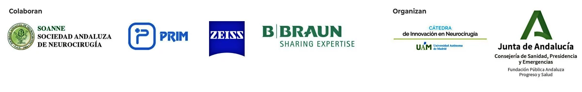 patrocinadores curso para residentes neurocieugia marzo 2026 iavante