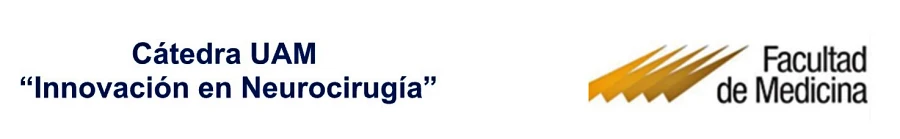 Catedra UAM-Innovación en Neurocirugía