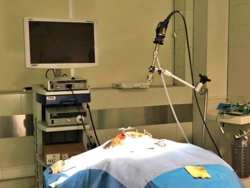 Figura 1 -puesto de trabajo prácticas neuroquirurgicas