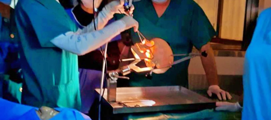 Figura 2 -puesto de trabajo prácticas neuroquirurgicas