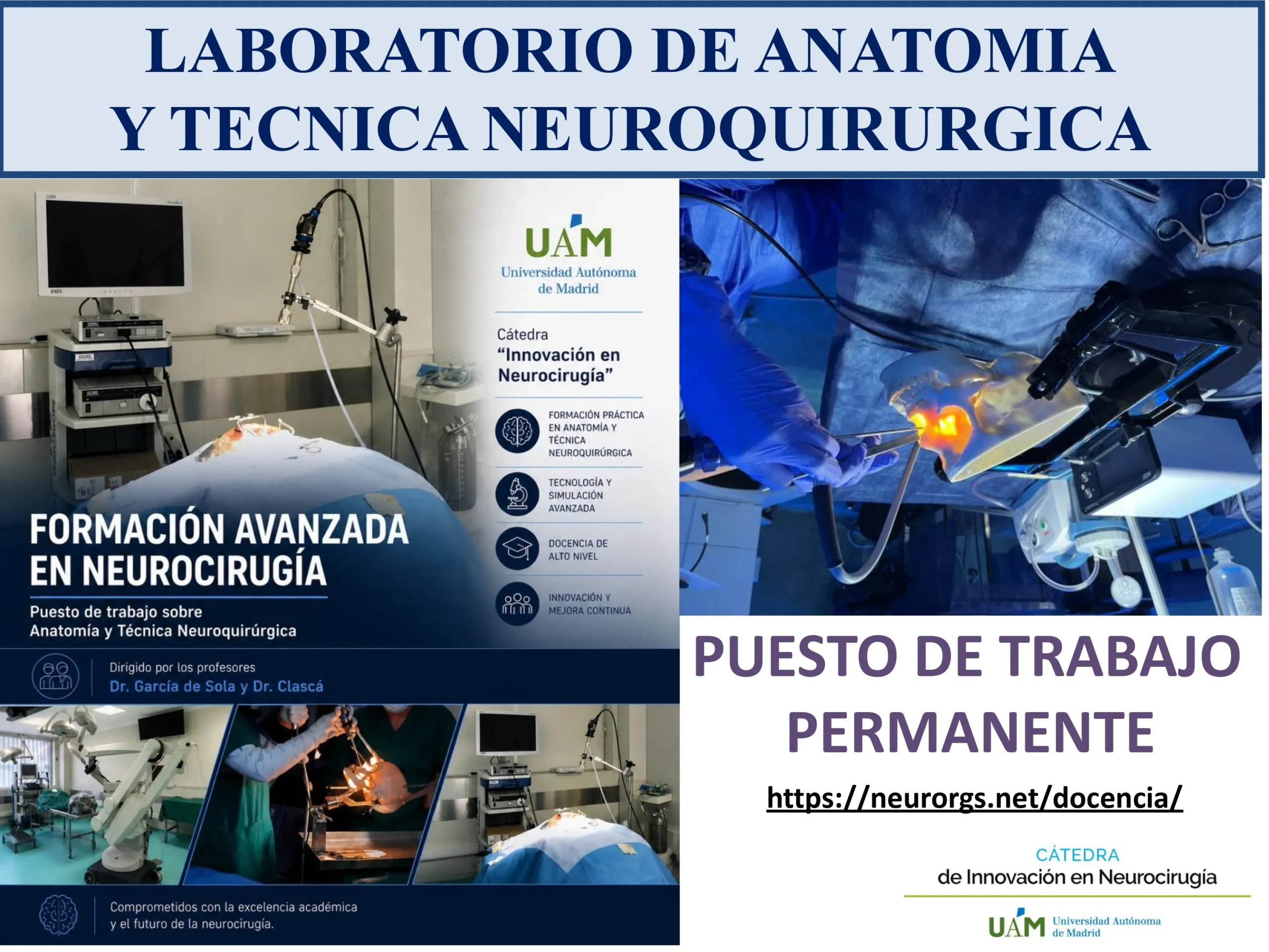 Figura 6.- Puesto de trabajo permanente de Formación Avanzada en Neurocirugía, dirigido por el Dr. García de Sola y el Dr. Clascá, accesible en neurorgs.net/docencia/.
