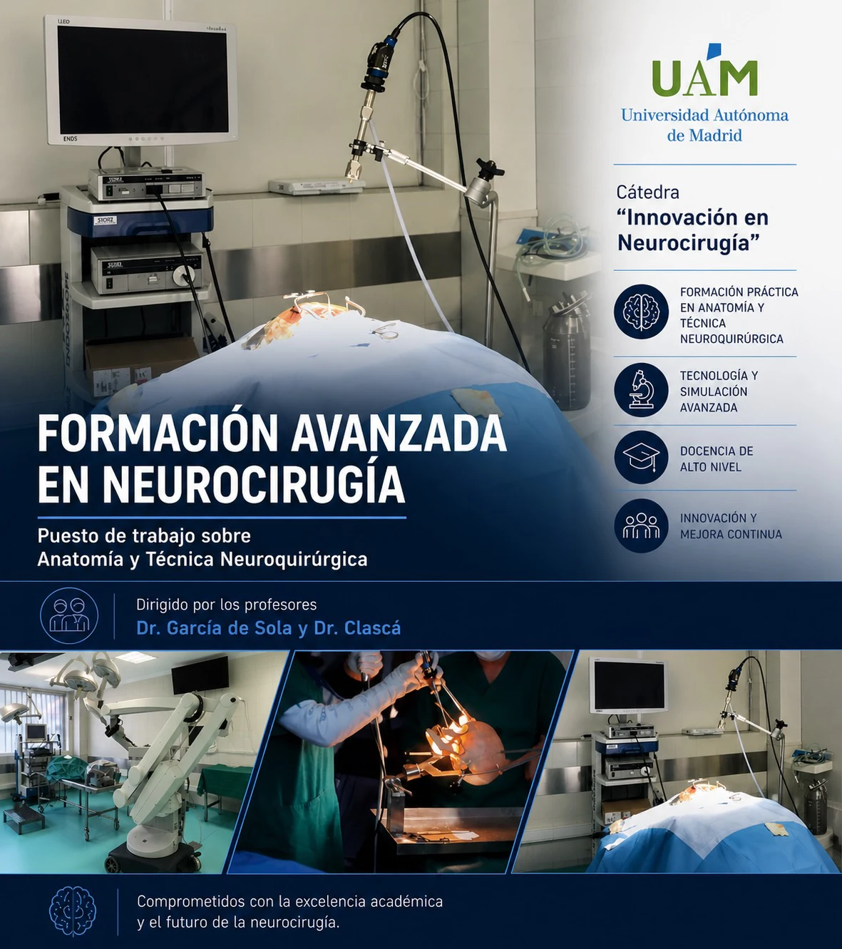 Puesto de trabajo sobre anatomía y técnica neuroquirúrgica