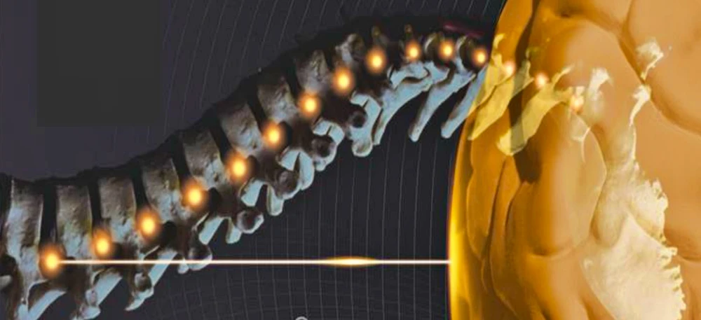curso tecnica neuroquirurgica-XXIV edición. Septiembre-Diciembre 2026
