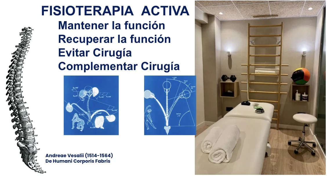 Figura 27.- La fisioterapia activa como herramienta para mantener la función, recuperarla, evitar la cirugía o complementarla, con referencia a la obra anatómica de Andrea Vesalio